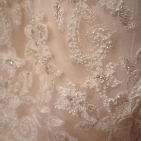 Maggie Sottero Collins wedding dress - Picture 4 of 13